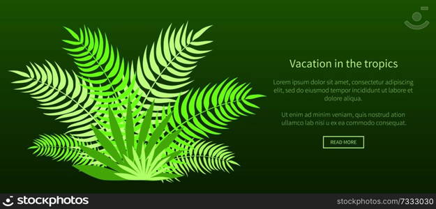 Vacation in the tropics web banner with green palm tree leaves and place for text. Vector illustration of advertisement poster in flat style design. Vacation in the Tropics Web Banner with Green Palm