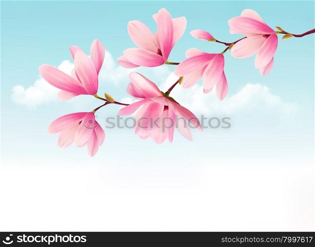 Valentine background with pink flowers. Vector.