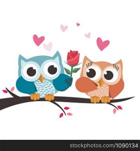 Valentine owls in love. Giving a flower. Isolated vector illustration