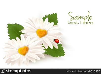 Valentine&rsquo;s Day background. Two daisies with hearts and leaves. Vector.