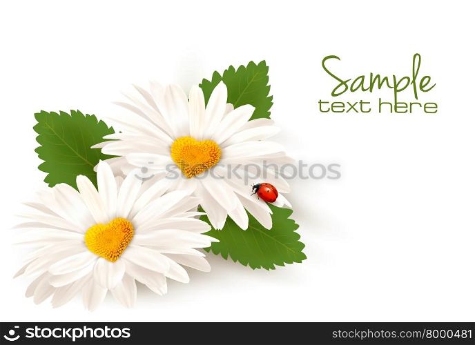 Valentine&rsquo;s Day background. Two daisies with hearts and leaves. Vector.