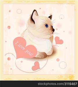 Valentines day greeting card with little siamese kitten and hearts
