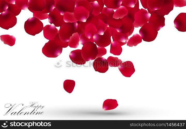 Valentines day with rose petals on white background.vector