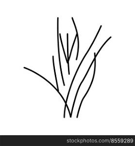 vallisneria spiralis line icon vector. vallisneria spiralis sign. isolated contour symbol black illustration. vallisneria spiralis line icon vector illustration