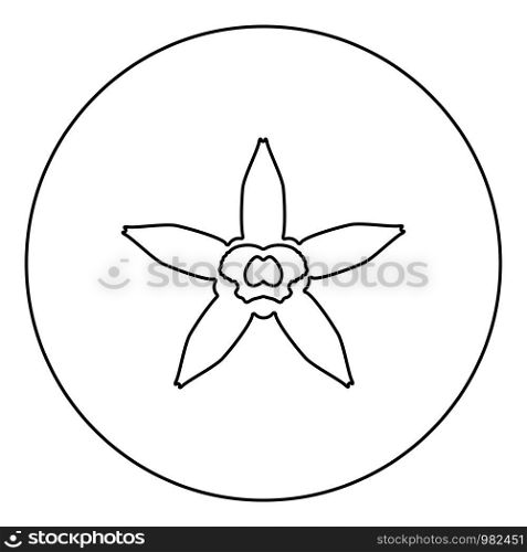 Vanilla flower icon in circle round outline black color vector illustration flat style simple image. Vanilla flower icon in circle round outline black color vector illustration flat style image