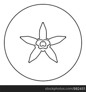 Vanilla flower icon in circle round outline black color vector illustration flat style simple image. Vanilla flower icon in circle round outline black color vector illustration flat style image