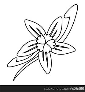 Vanilla flower icon. Outline illustration of vanilla flower vector icon for web. Vanilla flower icon, outline style