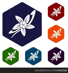 Vanilla sticks with a flower icons set hexagon isolated vector illustration. Vanilla sticks with a flower icons set hexagon