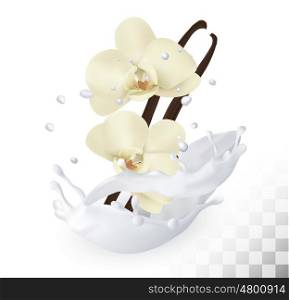 Vanilla sticks with flowers in a milk splash on a transparent background. Vector.