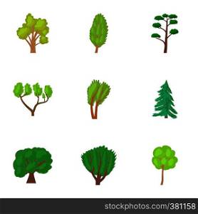 Varieties of trees icons set. Cartoon illustration of 9 varieties of trees vector icons for web. Varieties of trees icons set, cartoon style
