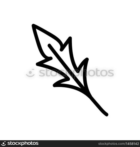 variety of arugula leaf icon vector. variety of arugula leaf sign. isolated contour symbol illustration. variety of arugula leaf icon vector outline illustration