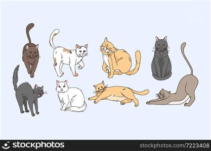 Variety of cats animals concept. Set of grey red white and brown cats stretching sitting lying relaxing and enjoying life vector illustration . Variety of cats animals concept