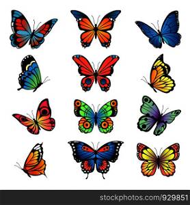 Various cartoon butterflies. Set vector illustrations of butterflies. Colored butterfly insect, various natural bright wildlife. Various cartoon butterflies. Set vector illustrations of butterflies