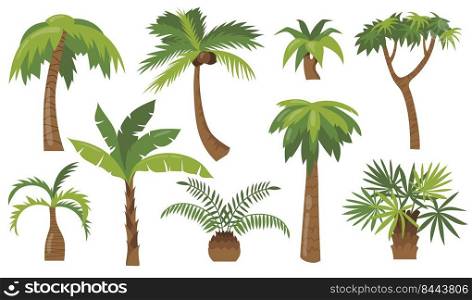 Various cartoon palm trees flat icon set. Jungle banana, coconut or pineapple trees with green leaves vector illustration collection. Beach plants and tropical vacation concept