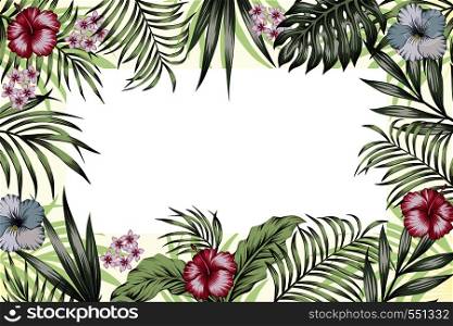 Various event invitation card template. Exotic tropical jungle rainforest green palm tree and monstera leaves hibiscus flowers border frame on the white background. Horizontal layout