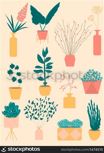 Various kind of indoor houseplants growing in pots, home decorations flora decor. Flat design style vector illustration set. Growth of plants isolated on white, made in pastel colors