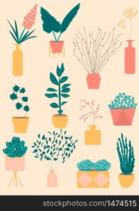 Various kind of indoor houseplants growing in pots, home decorations flora decor. Flat design style vector illustration set. Growth of plants isolated on white, made in pastel colors