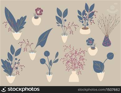 Various kind of indoor houseplants growing in pots, home decorations flora decor. Flat design style vector illustration set. Growth of plants isolated on white, made in pastel colors