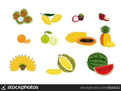 Various kinds of fruit white background,set of colorful fruit vector isolated