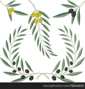 Various olive branches and wreath isolated on white background.
