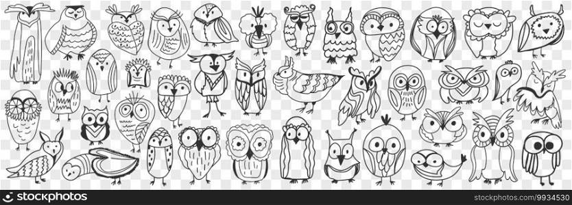 Various owls birds doodle set. Collection of hand drawn cute owls night birds of various shapes and sizes showing faces isolated on transparent background. Illustration of bird type for kids. Various owls birds doodle set