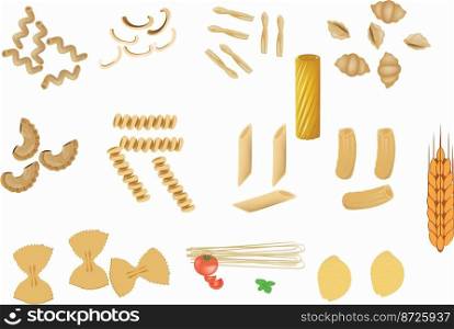 Various shapes and types of Italian durum wheat pasta. Various shapes and types of Italian durum wheat pasta-