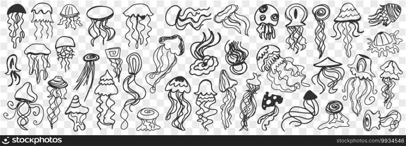 Various swimming jellyfish doodle set. Collection of hand drawn cute jellyfish of traditional shapes swimming under water isolated on transparent background. Illustration of undersea world for kids. Various swimming jellyfish doodle set