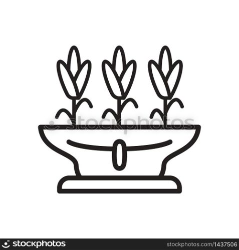 vase flower icon design, flat style trendy collection
