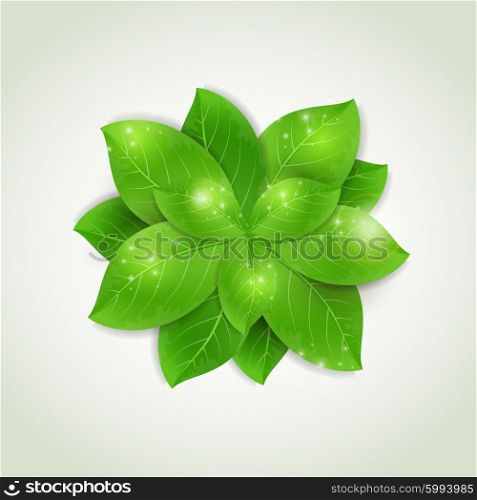 Vector abstract background with fresh green leaves