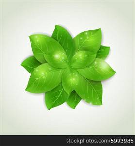 Vector abstract background with fresh green leaves