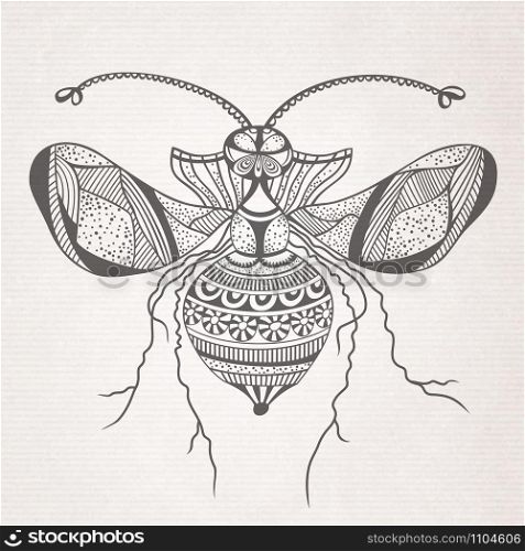 Vector abstract cartoon decorative insect butterfly sketch. Vector decorative insect butterfly