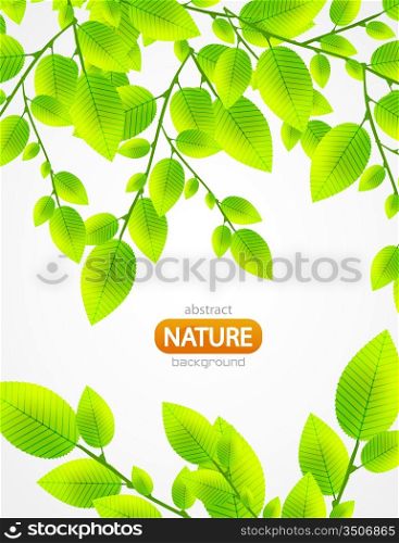 Vector abstract green leaves