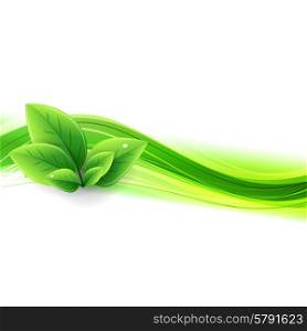 Vector Abstract nature background with green leaves. Abstract nature background