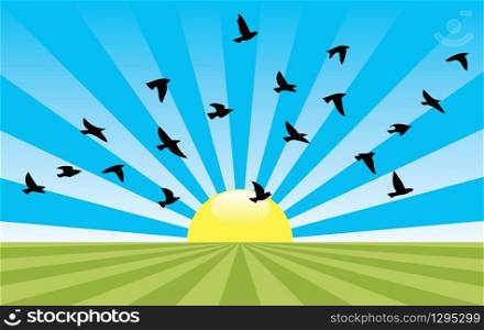 vector abstract rural landscape with rising sun and flying birds