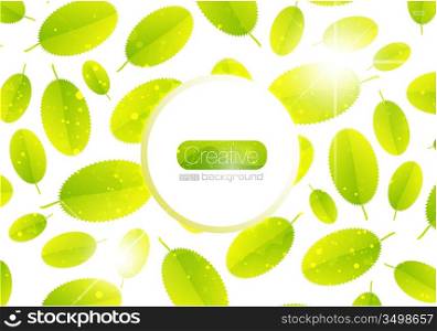 Vector abstract summer leaf background