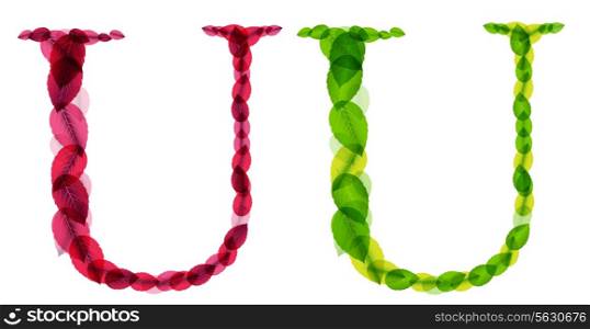 Vector alphabet letters made from spring green and autumn red leafs. Vector illustration