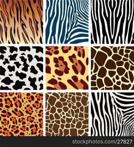 vector animal skin textures of tiger, zebra, giraffe, leopard and cow