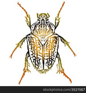 Vector artwork a beetle