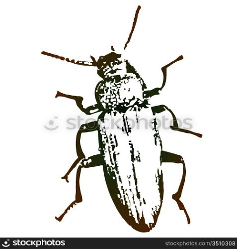 Vector artwork will a beetle