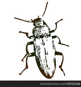 Vector artwork will a beetle