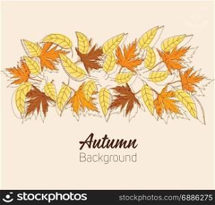 Vector Autumn background Design