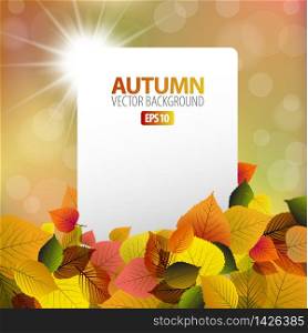 Vector autumn background with white card and sun in the background