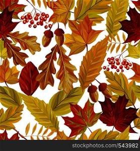 Vector autumn composition of rowan acorn and red yellow leaves of oak, maple, birch. Seamless pattern nature white background
