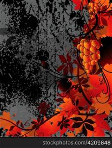 vector autumn grunge background with grape