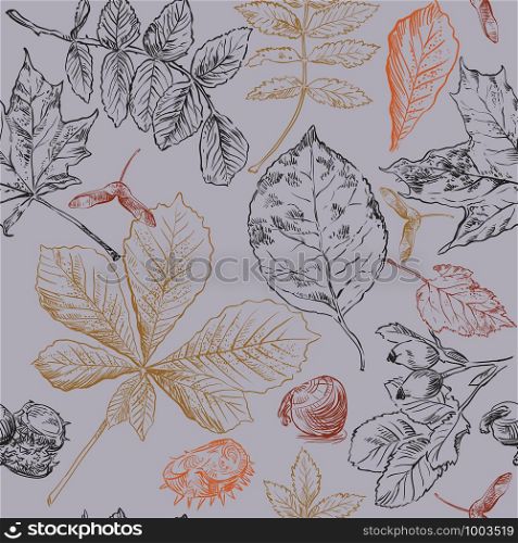 Vector autumn hand drawing seamless pattern with horse chestnut, hawthorn, rose hip, Rowan leaves outline on the grey background. Fall line art of foliage in different color. stock illustration