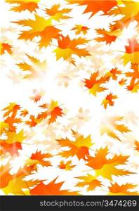 Vector autumn leaves abstract background