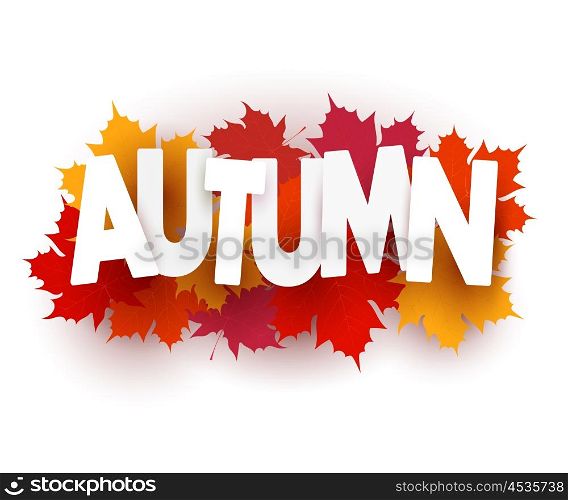 Vector Autumn maple leaves on a white background. Autumn banner, graphic design element. Stock vector illustration