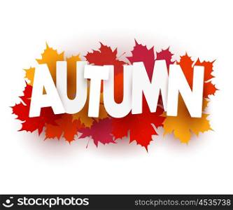 Vector Autumn maple leaves on a white background. Autumn banner, graphic design element. Stock vector illustration
