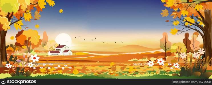 Vector Autumn panorama landscape farm field with blue sky, Beautiful sunset in mid Autumn countryside panorama view with yellowed orange foliage,Fall season with copy space for banner background