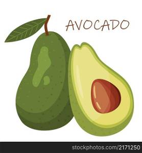 vector avocados illustration. Whole and cut avocado isolated on white background.